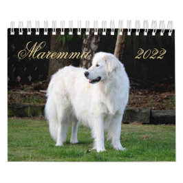 Calendario Maremma sheepdog 2022 SmallCalendar, Blanco