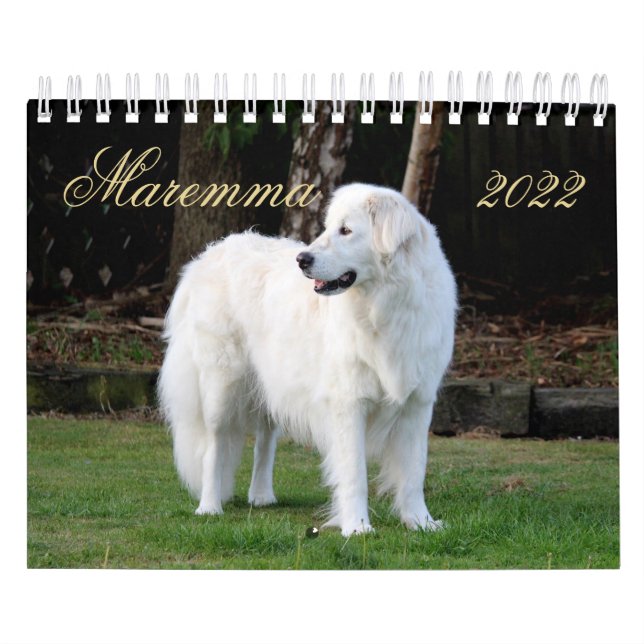 Calendario Maremma sheepdog 2022 SmallCalendar, Blanco (Tapa)