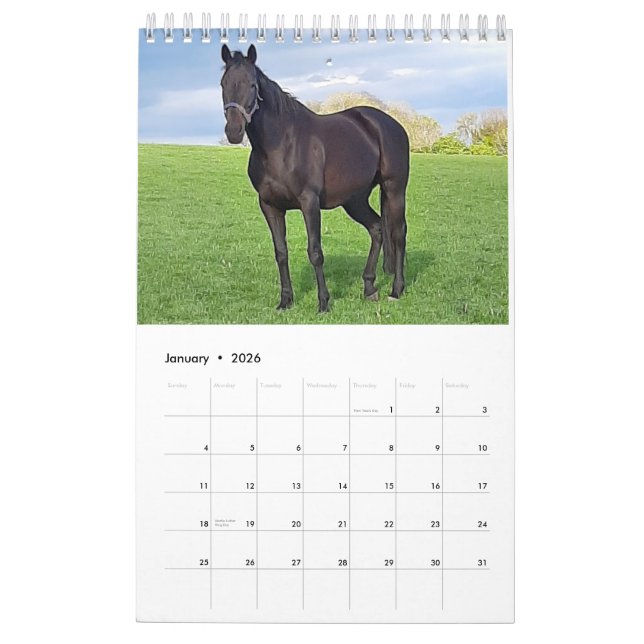 Calendario Mares and Foals 2023 (Jan 2026)
