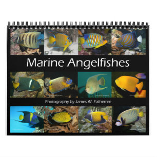 Calendario Marine Angelfishes Wall Calendar, de J.W. Padre