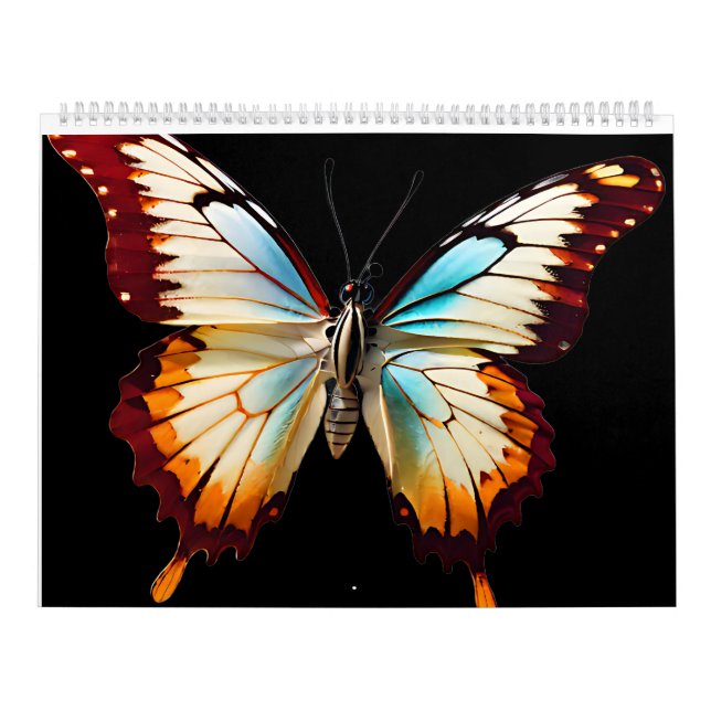 Calendario Mariposa colorida (Tapa)