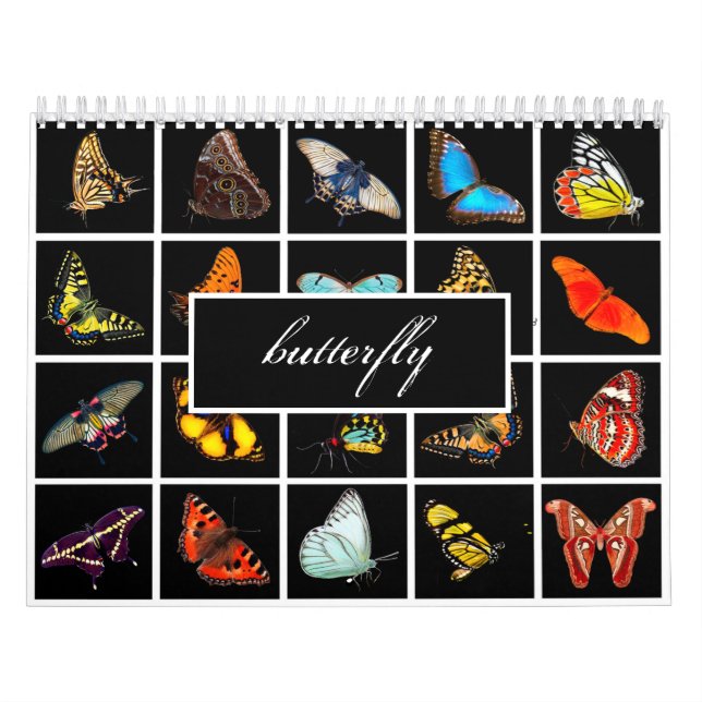 Calendario Mariposa moderna de fotografía (Tapa)