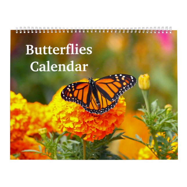 Calendario Mariposas (Tapa)