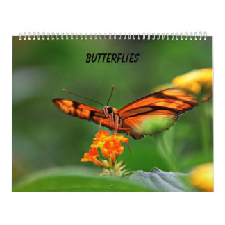 Calendario Mariposas