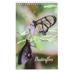 Calendario Mariposas