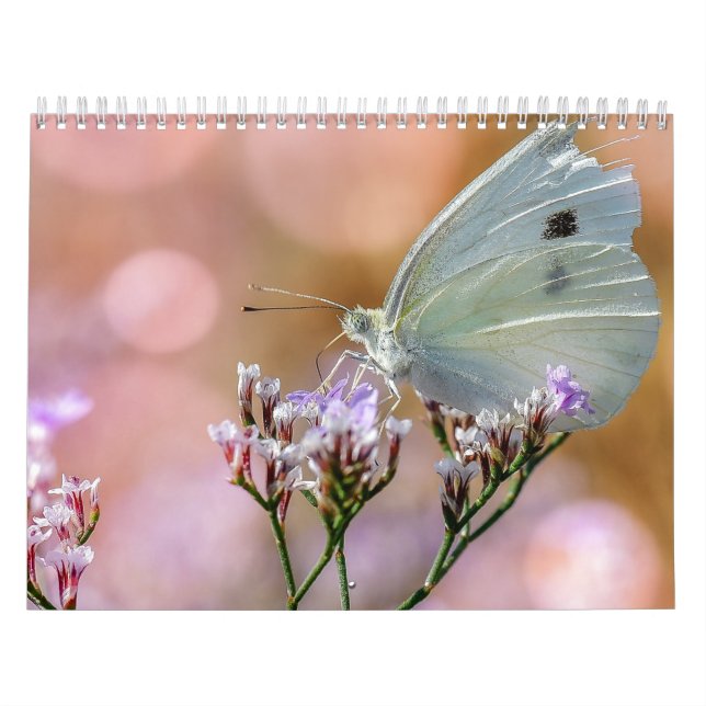 Calendario Mariposas 2017 (Tapa)