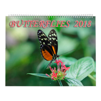Calendario Mariposas 2018