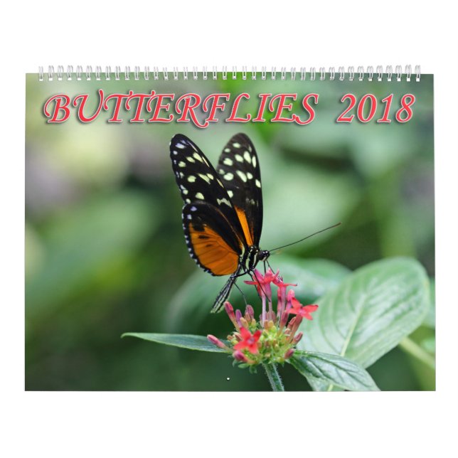 Calendario Mariposas 2018 (Tapa)