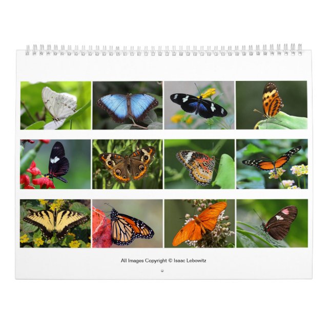 Calendario Mariposas 2019 (Reverso)