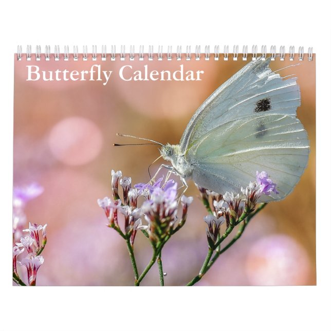 Calendario Mariposas 2027 (Tapa)