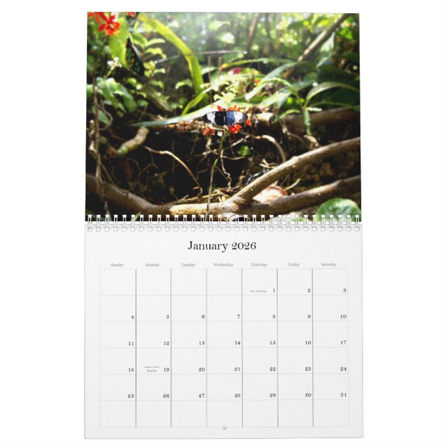 Calendario Mariposas, compendio de A de mariposas al CRNA… (Jan 2026)