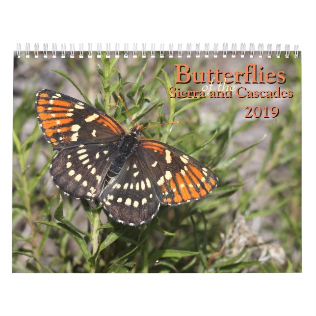 Calendario Mariposas de Sierra y de las cascadas (Tapa)