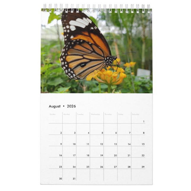 Calendario Mariposas de Tailandia (Aug 2026)