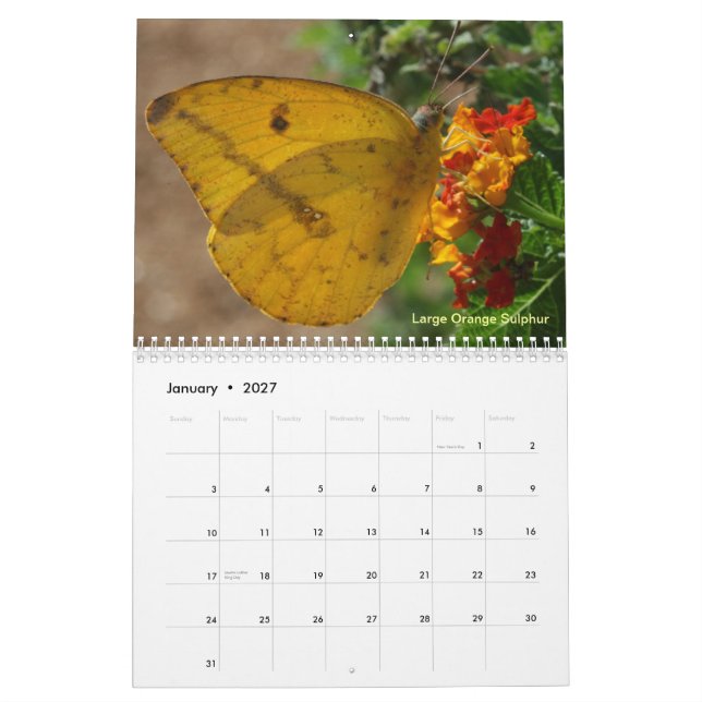 Calendario Mariposas del valle del Río Grande (Jan 2027)