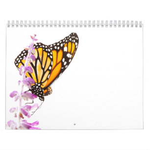 Calendario Mariposas hermosas