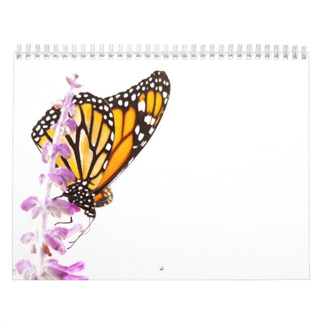 Calendario Mariposas hermosas (Tapa)