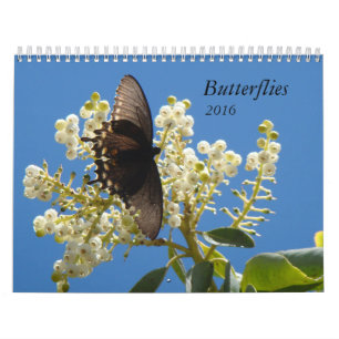 Calendario Mariposas para 2016