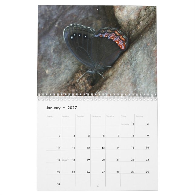 Calendario Mariposas Raras 2013 (Jan 2027)