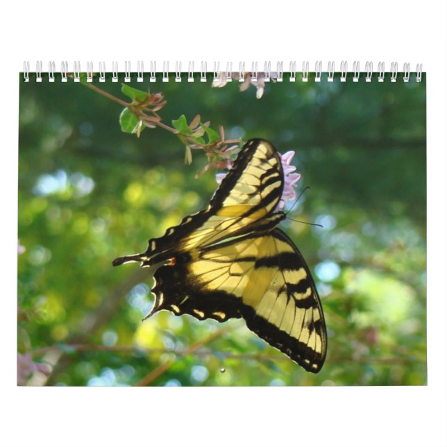 Calendario Mariposas y flores (Tapa)