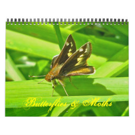 Calendario - Mariposas y polillas