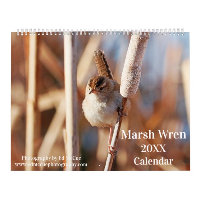 Calendario Marsh Wren (Tapa)