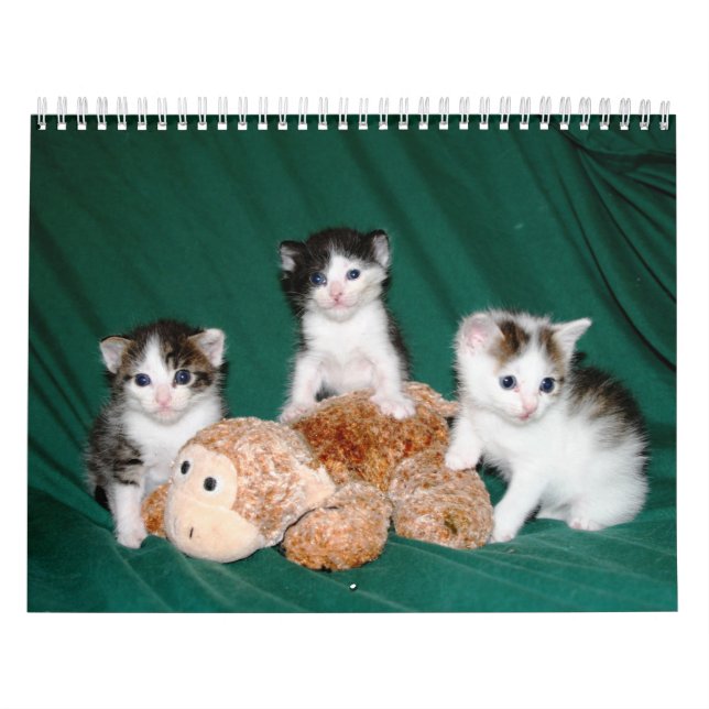 Calendario ¡Más gatitos! (Tapa)