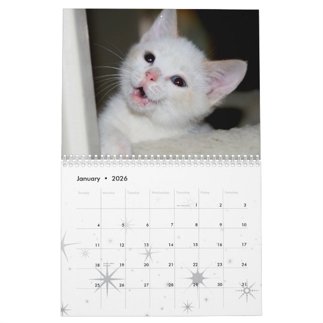 Calendario ¡Más gatitos! (Jan 2026)