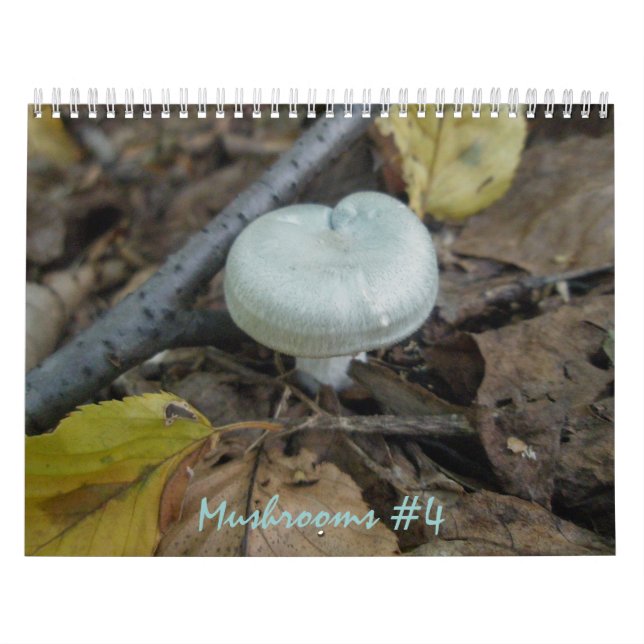 Calendario - Más Maravillosos Hongos #4 (Tapa)