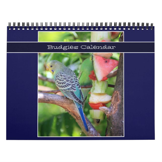 Calendario Mascota Cute Budgie Parrot Photography 2026 Birds (Tapa)
