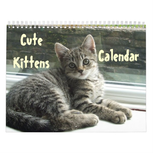 Calendario Mascota Cute Gato Gato Gato Paz Destino (Tapa)