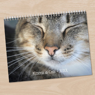Calendario Mascota de gatitos y gatos