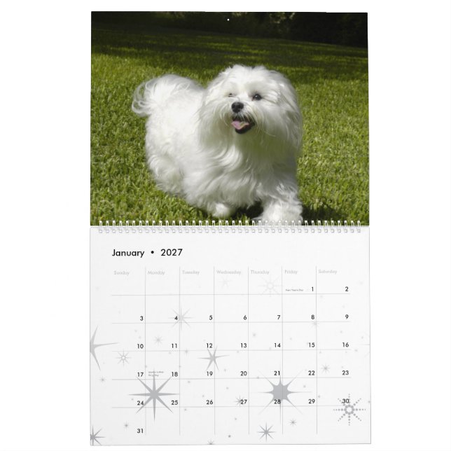 Calendario Mascota personalizado (Jan 2027)
