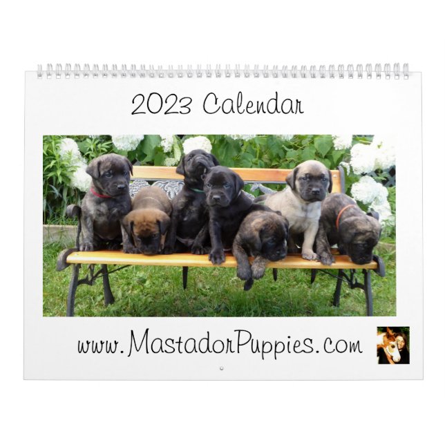 Calendario Mastador Puppy Calendar 2023 (Tapa)