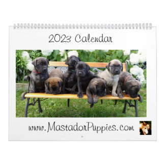 Calendario Mastador Puppy Calendar 2023