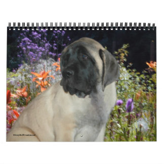 Calendario Mastiff Puppies Calendar