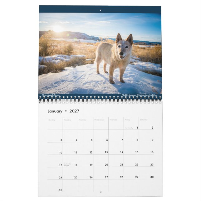 Calendario Matilda, Amor y Luz 2021 (Jan 2027)