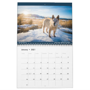 Calendario Matilda, Amor y Luz 2021