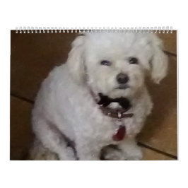 Calendario Mattie y sus amigos