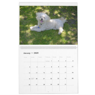 Calendario Mattie y sus amigos