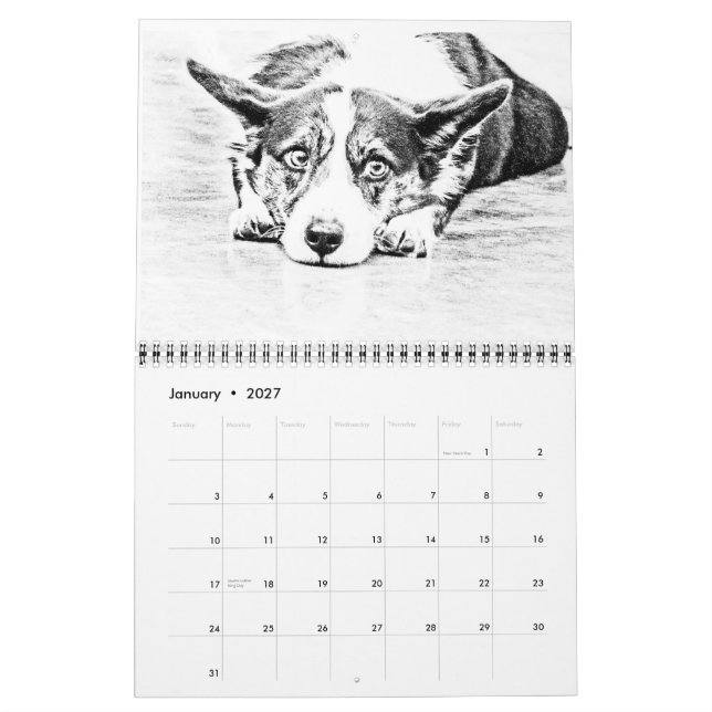 Calendario Mayor perro suizo de la montaña (Jan 2027)