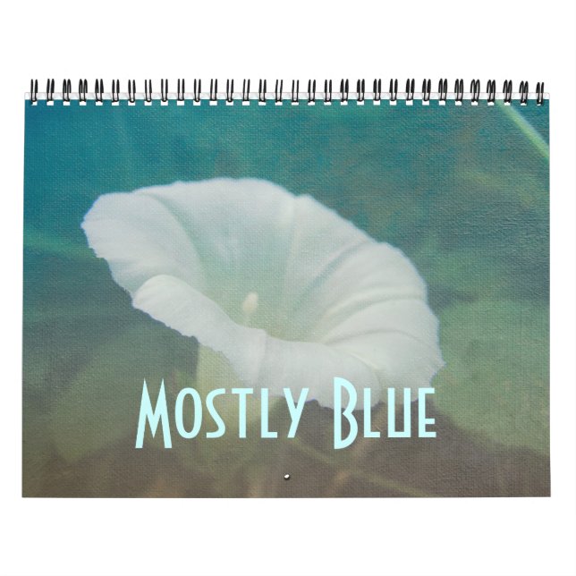 Calendario - Mayormente Azul (Tapa)