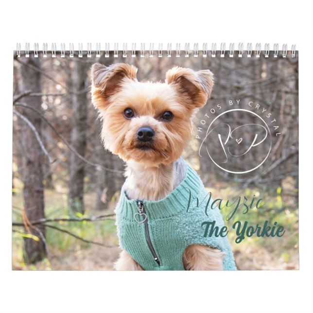 Calendario Mayzie Calendar III (Estilo 2023) (Tapa)