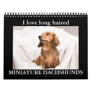 CALENDARIO ME ENCANTAN LOS DACHSHUNDS DE LA MINIATURA DE CABA