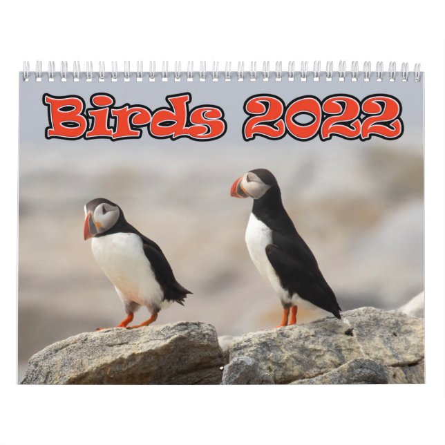 Calendario medio de dos páginas, blanco (Tapa)