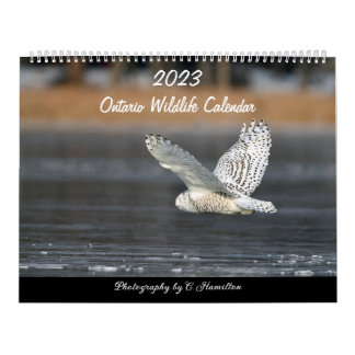 Calendario medio de dos páginas, blanco