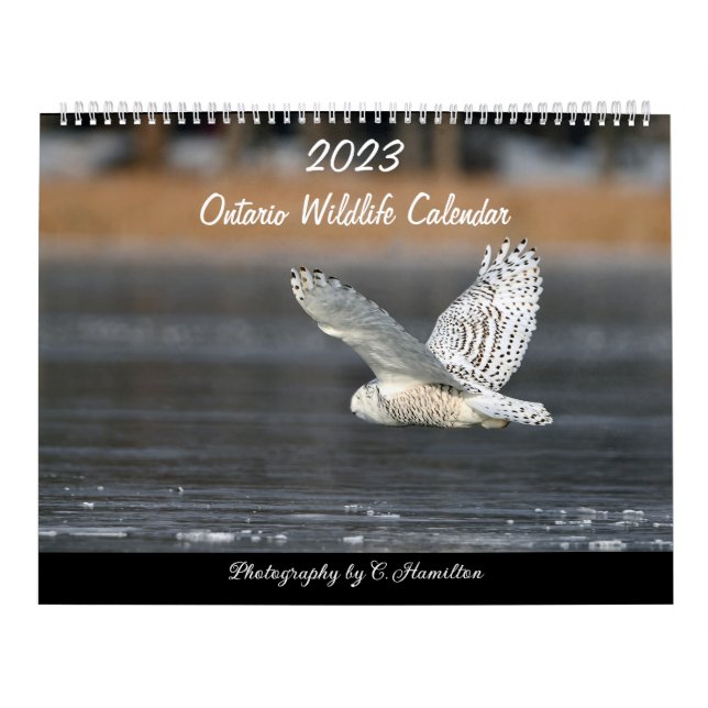 Calendario medio de dos páginas, blanco (Tapa)