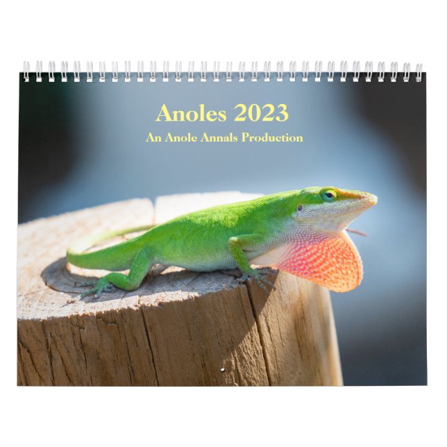 Calendario medio de dos páginas, blanco (Tapa)