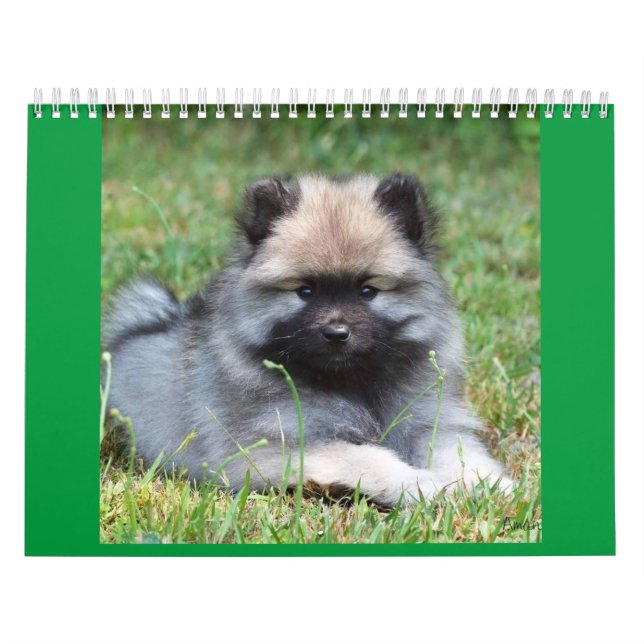 Calendario medio de dos páginas, blanco (Tapa)