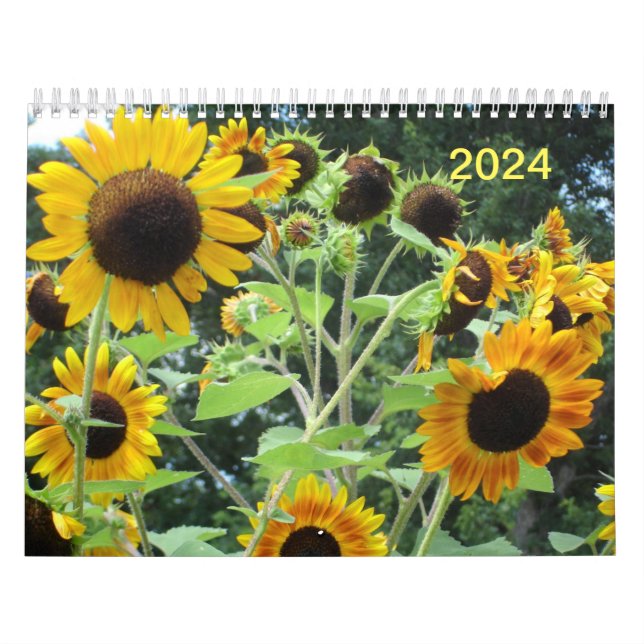 Calendario medio de dos páginas, blanco (Tapa)