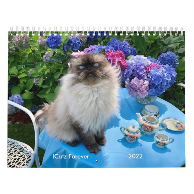 Calendario medio de dos páginas, calendario blanco (Tapa)
